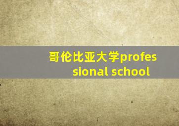 哥伦比亚大学professional school